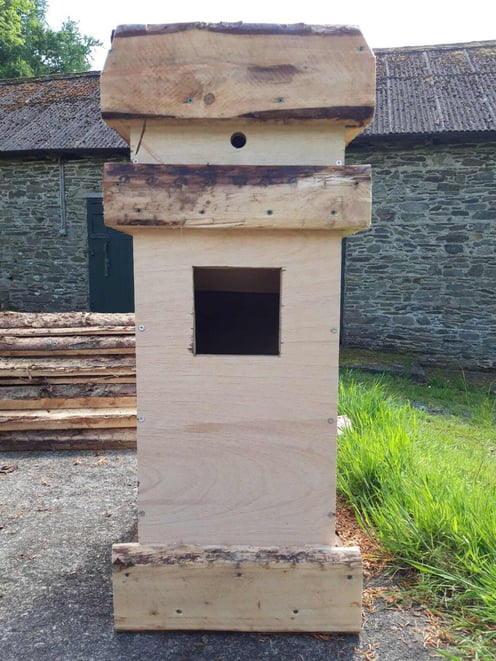 WhatsApp Image 2024-11-04 at 19.58.12