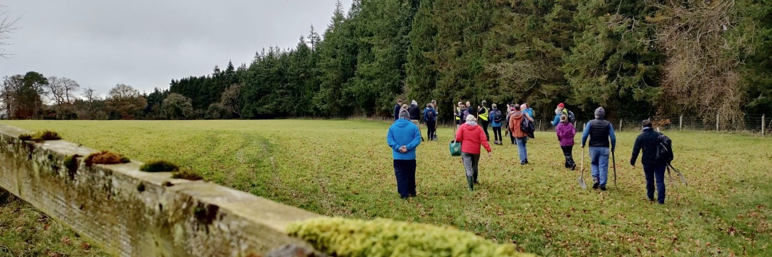 ReWild Wicklow helping plant the Yellow Rattle